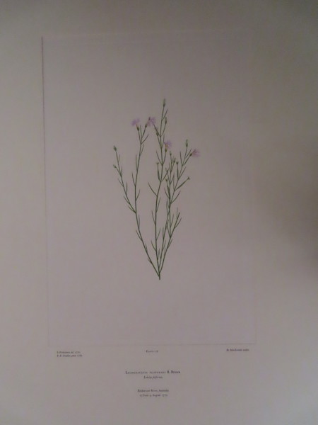 image FDA-E.2916_8_22-2016