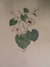 image FDA-E.2916_30_6-2016