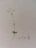 image FDA-E.2916_10_19-2016-A