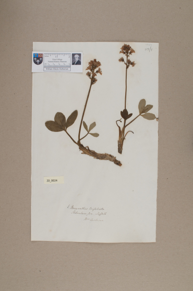 image NHM_HH_20.24-2010
