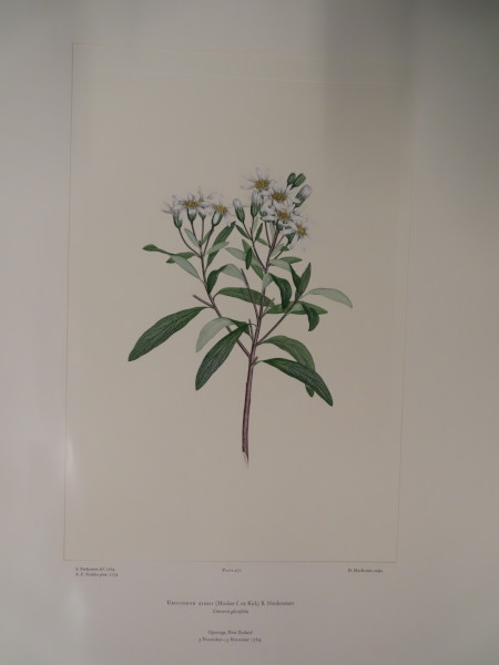 image FDA-E.2916_23_11-2016