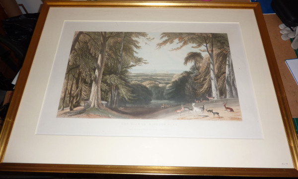 image FDA-E.259_8-2010