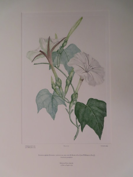 image FDA-E.2916_10_23-2016
