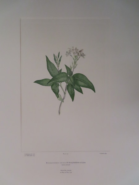 image FDA-E.2916_12_6-2016