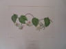image FDA-E.2916_16_14-2016