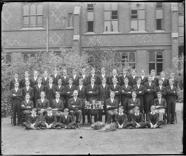 image PA-N.637-2024
