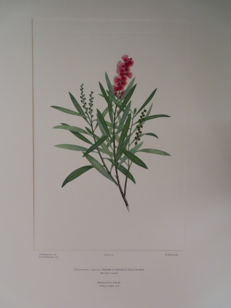 image FDA-E.2916_6_5-2016-A
