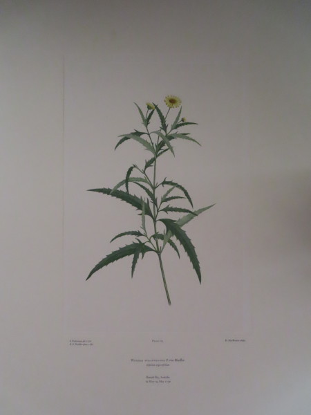 image FDA-E.2916_8_9-2016-A