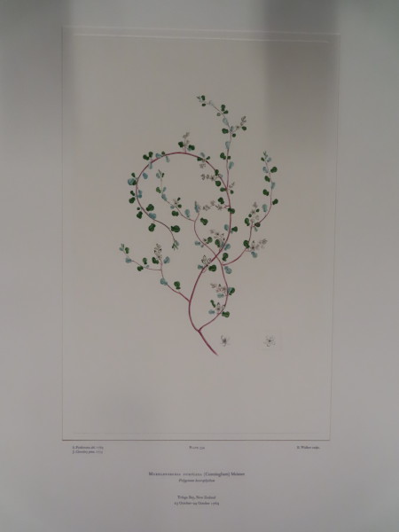 image FDA-E.2916_25_22-2016-A