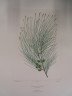 image FDA-E.2916_31_16-2016-A
