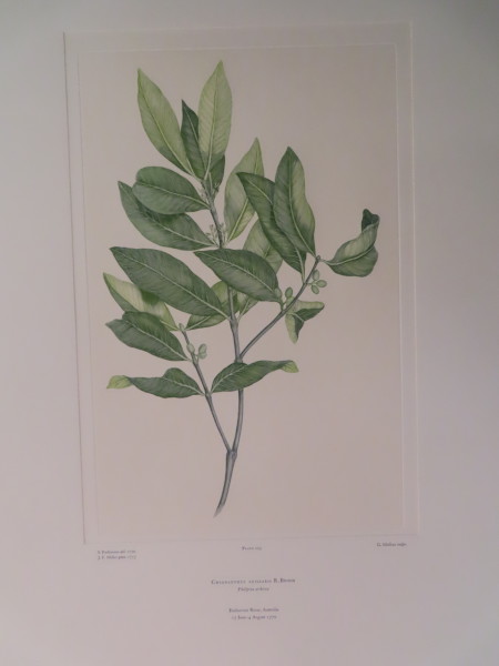 image FDA-E.2916_10_6-2016-A