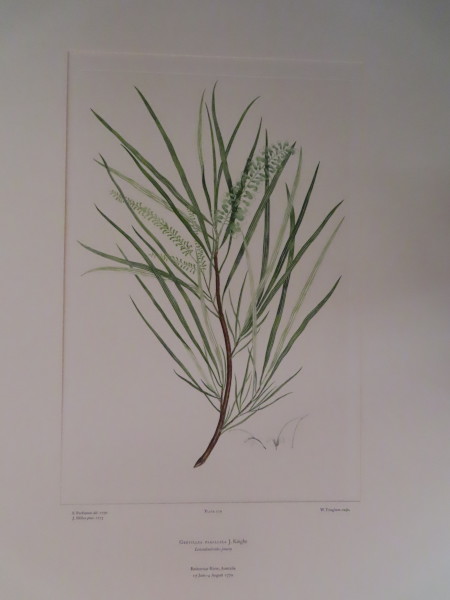 image FDA-E.2916_13_12-2016-A