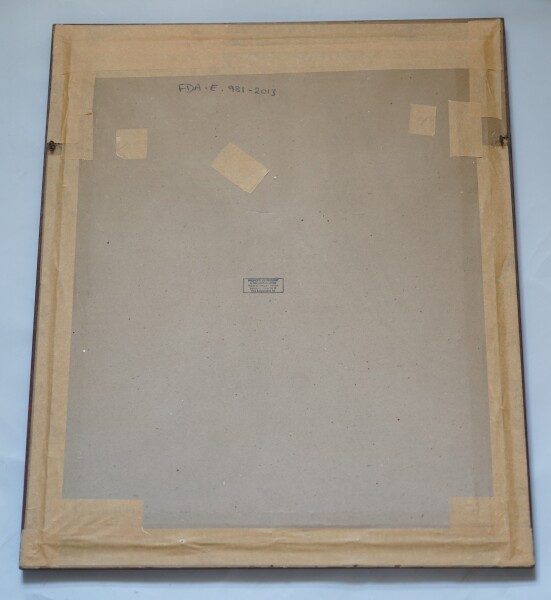 FDA-E.981-2013-A image FDA-E.981-2013-A