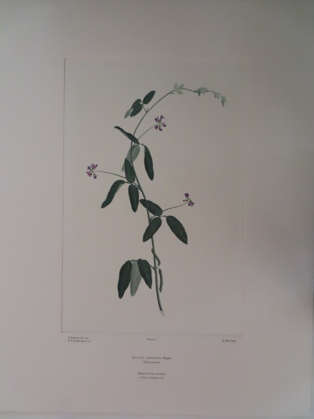 image FDA-E.2916_4_7-2016-A