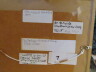 image FDA-D.1736-2023-B