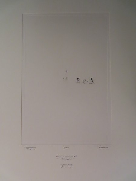 image FDA-E.2916_11_10-2016