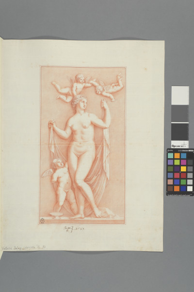 image ECL-Bm.5_27-2012