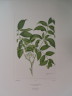 image FDA-E.2916_2_25-2016-A