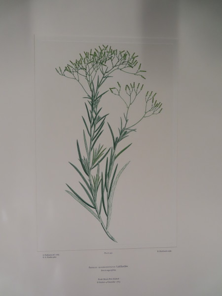 image FDA-E.2916_23_26-2016-A