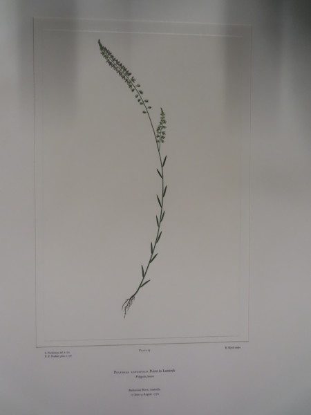 image FDA-E.2916_1_18-2016-A