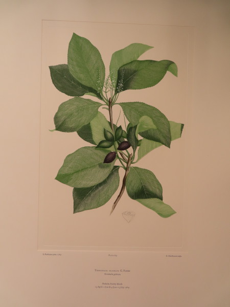 image FDA-E.2916_28_22-2016