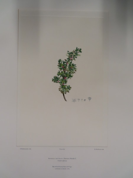 image FDA-E.2916_33_6-2016-A