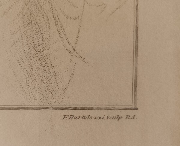 image FDA-E.2948-2016-E