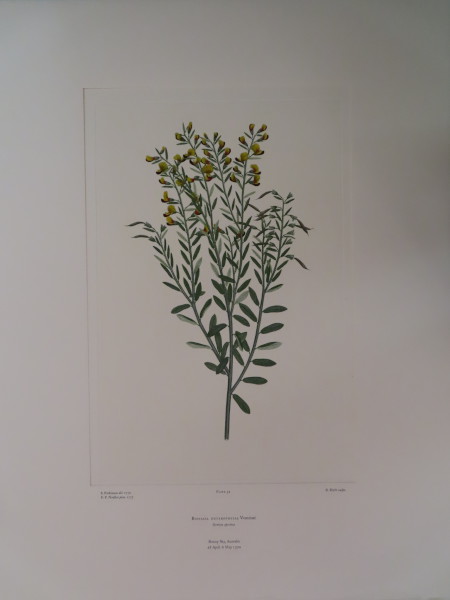 image FDA-E.2916_3_12-2016-A