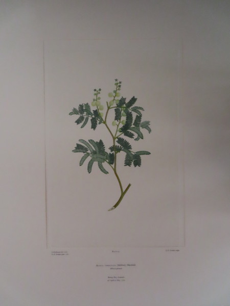 FDA-E.2916_5_8-2016 image FDA-E.2916_5_8-2016