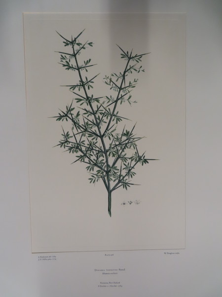 FDA-E.2916_21_6-2016 image FDA-E.2916_21_6-2016
