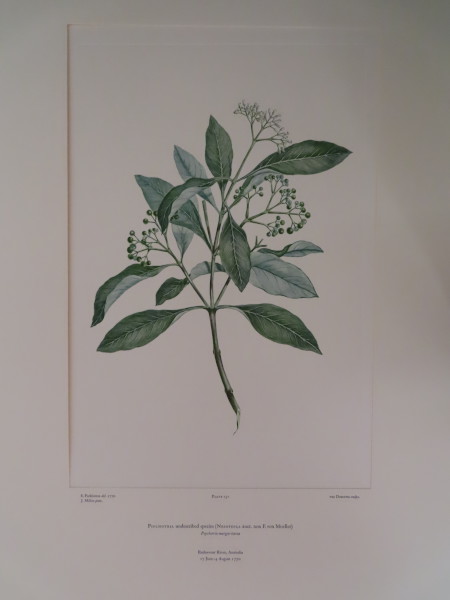 image FDA-E.2916_7_19-2016