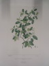 image FDA-E.2916_26_13-2016-A