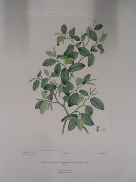 image FDA-E.2916_26_13-2016-A