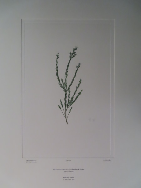 FDA-E.2916_9_16-2016-A image FDA-E.2916_9_16-2016-A