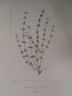 image FDA-E.2916_7_24-2016-A