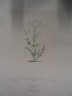 image FDA-E.2916_32_11-2016
