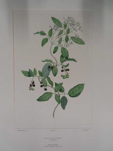 FDA-E.2916_29_16-2016-A image FDA-E.2916_29_16-2016-A