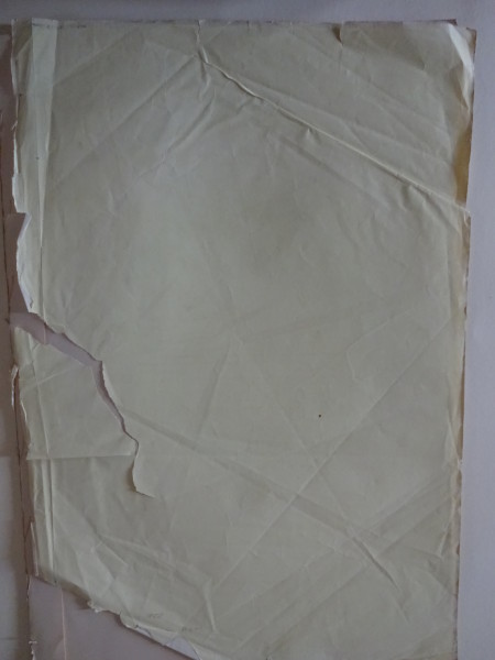 image FDA-E.2841_8-2016