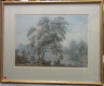 image FDA-D.1665-2021