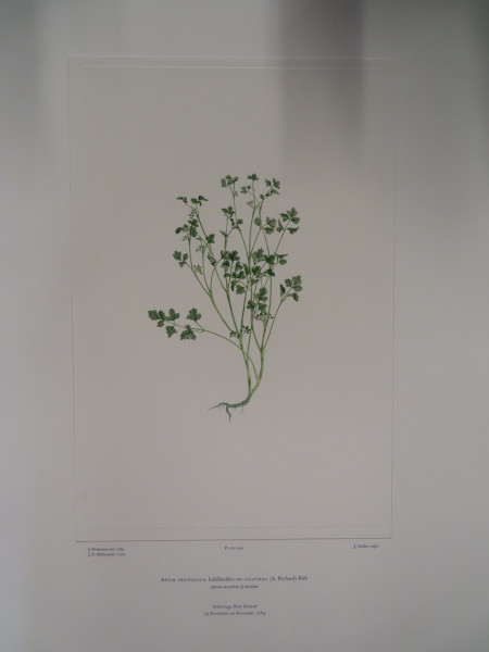 FDA-E.2916_22_16-2016-A image FDA-E.2916_22_16-2016-A