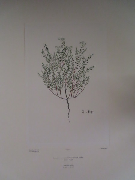 image FDA-E.2916_7_6-2016
