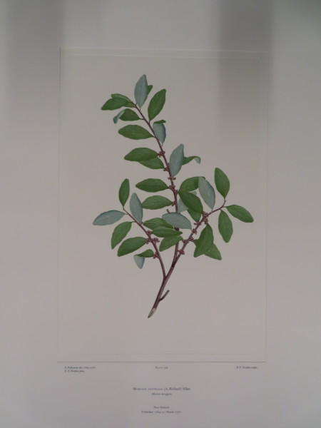 image FDA-E.2916_24_17-2016-A