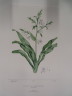 image FDA-E.2916_26_23-2016