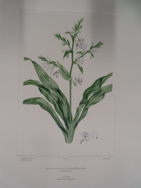 FDA-E.2916_26_23-2016 image FDA-E.2916_26_23-2016