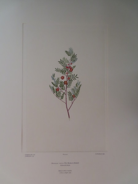 image FDA-E.2916_3_4-2016-A