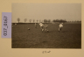 image PA-A.37_167-2012