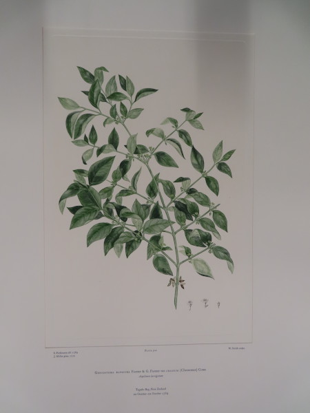 image FDA-E.2916_24_21-2016