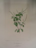 image FDA-E.2916_30_19-2016
