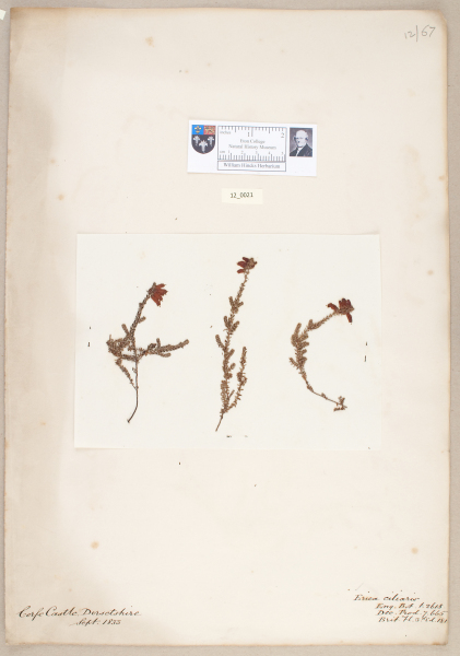 image NHM_HH_12.21-2010