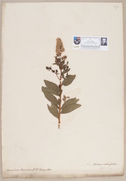 image NHM_HH_13.30-2010